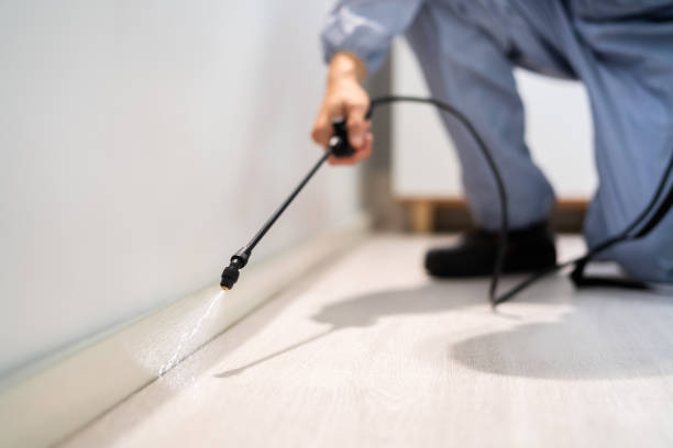 Licensed Mosquito Control service in Marysville, WA - Show Me Pest Control