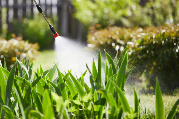 24/7 Emergency Mosquito Control experts in Marysville, WA